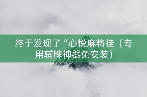 终于发现了“心悦麻将挂（专用辅牌神器免安装）