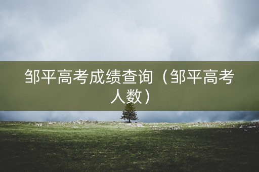 邹平高考成绩查询（邹平高考人数）
