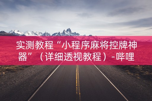实测教程“小程序麻将控牌神器”（详细透视教程）-哔哩哔哩