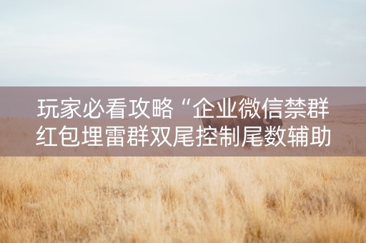 玩家必看攻略“企业微信禁群红包埋雷群双尾控制尾数辅助软件”（详细透视教程）-哔哩哔哩