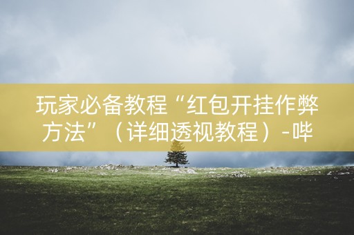 玩家必备教程“红包开挂作弊方法”（详细透视教程）-哔哩哔哩