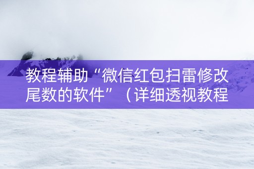 教程辅助“微信红包扫雷修改尾数的软件”（详细透视教程）-哔哩哔哩