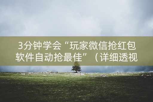 3分钟学会“玩家微信抢红包软件自动抢最佳”（详细透视教程）-哔哩哔哩