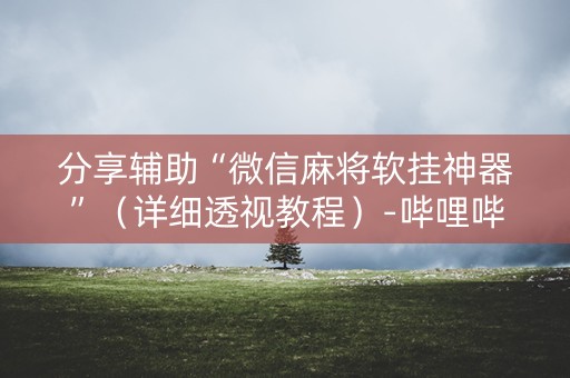 分享辅助“微信麻将软挂神器”（详细透视教程）-哔哩哔哩