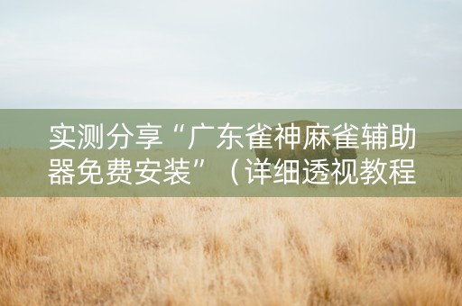 实测分享“广东雀神麻雀辅助器免费安装”（详细透视教程）-哔哩哔哩