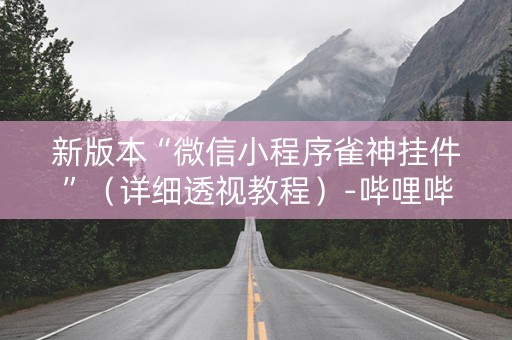 新版本“微信小程序雀神挂件”（详细透视教程）-哔哩哔哩