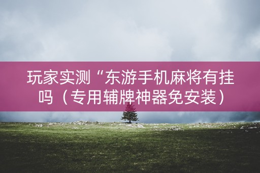 玩家实测“东游手机麻将有挂吗（专用辅牌神器免安装）