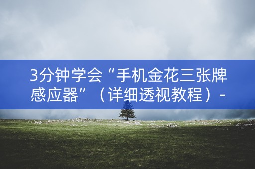 3分钟学会“手机金花三张牌感应器”（详细透视教程）-哔哩哔哩