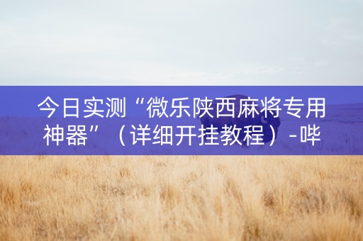 今日实测“微乐陕西麻将专用神器”（详细开挂教程）-哔哩哔哩