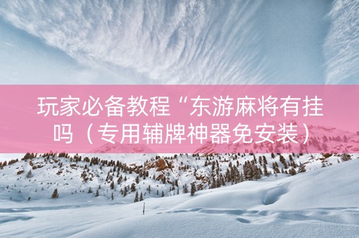 玩家必备教程“东游麻将有挂吗（专用辅牌神器免安装）