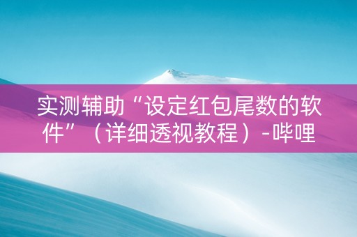实测辅助“设定红包尾数的软件”（详细透视教程）-哔哩哔哩