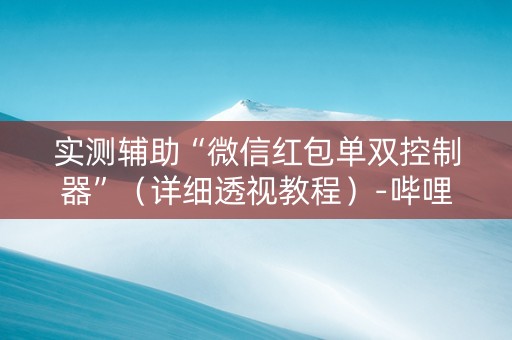 实测辅助“微信红包单双控制器”（详细透视教程）-哔哩哔哩