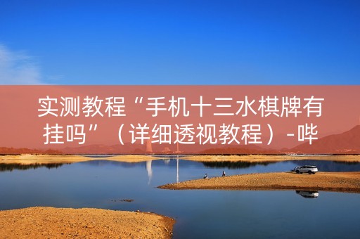 实测教程“手机十三水棋牌有挂吗”（详细透视教程）-哔哩哔哩