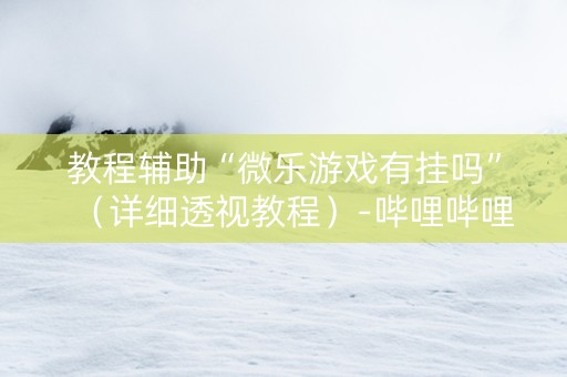 教程辅助“微乐游戏有挂吗”（详细透视教程）-哔哩哔哩