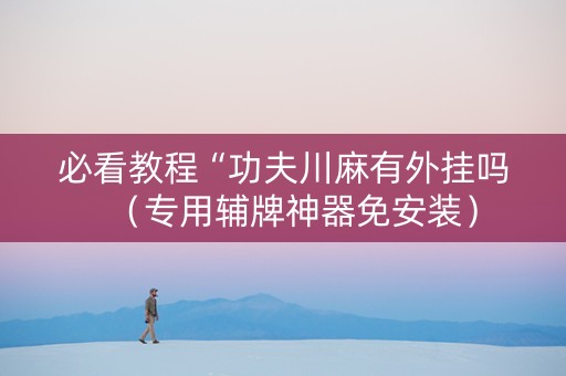 必看教程“功夫川麻有外挂吗（专用辅牌神器免安装）