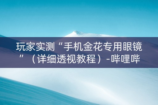 玩家实测“手机金花专用眼镜”（详细透视教程）-哔哩哔哩