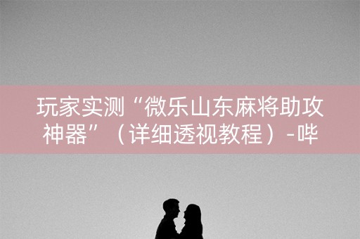 玩家实测“微乐山东麻将助攻神器”（详细透视教程）-哔哩哔哩
