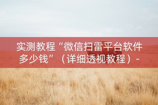 实测教程“微信扫雷平台软件多少钱”（详细透视教程）-哔哩哔哩