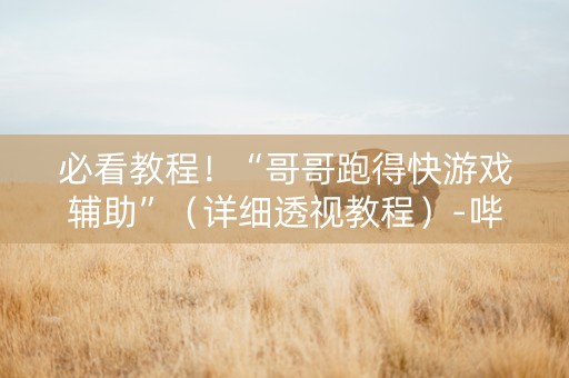 必看教程！“哥哥跑得快游戏辅助”（详细透视教程）-哔哩哔哩