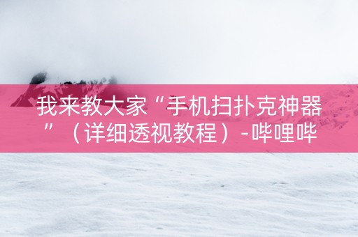 我来教大家“手机扫扑克神器”（详细透视教程）-哔哩哔哩