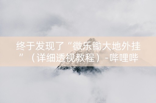 终于发现了“微乐锄大地外挂”（详细透视教程）-哔哩哔哩
