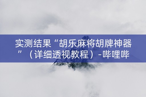 实测结果“胡乐麻将胡牌神器”（详细透视教程）-哔哩哔哩