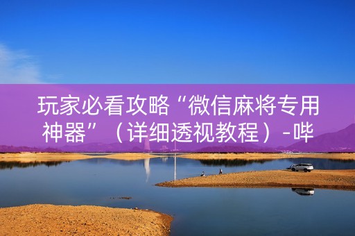玩家必看攻略“微信麻将专用神器”（详细透视教程）-哔哩哔哩