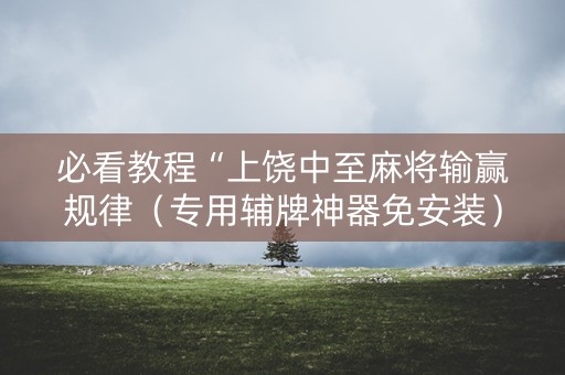 必看教程“上饶中至麻将输赢规律（专用辅牌神器免安装）
