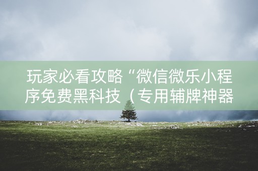 玩家必看攻略“微信微乐小程序免费黑科技（专用辅牌神器免安装）