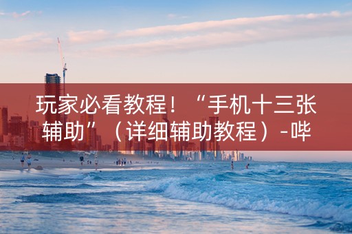 玩家必看教程！“手机十三张辅助”（详细辅助教程）-哔哩哔哩