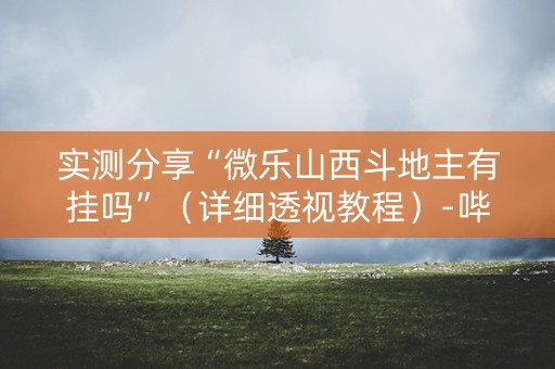 实测分享“微乐山西斗地主有挂吗”（详细透视教程）-哔哩哔哩