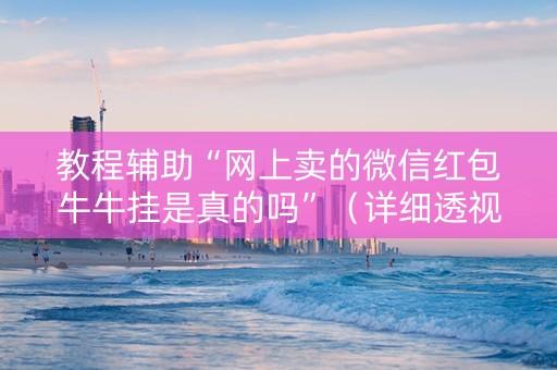 教程辅助“网上卖的微信红包牛牛挂是真的吗”（详细透视教程）-哔哩哔哩