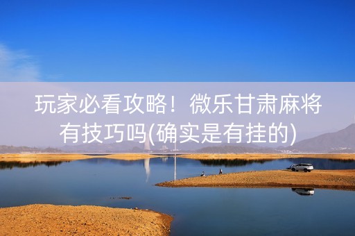 玩家必看攻略！微乐甘肃麻将有技巧吗(确实是有挂的)