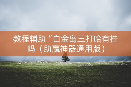 教程辅助“白金岛三打哈有挂吗（助赢神器通用版）