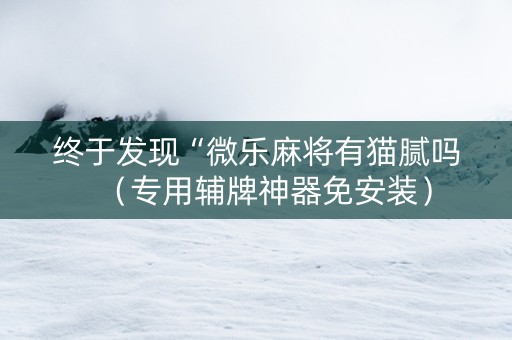 终于发现“微乐麻将有猫腻吗（专用辅牌神器免安装）