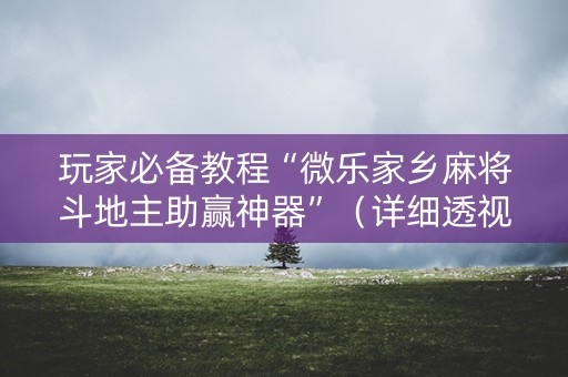 玩家必备教程“微乐家乡麻将斗地主助赢神器”（详细透视教程）-哔哩哔哩
