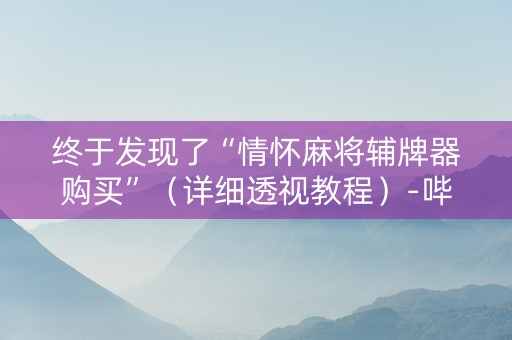 终于发现了“情怀麻将辅牌器购买”（详细透视教程）-哔哩哔哩