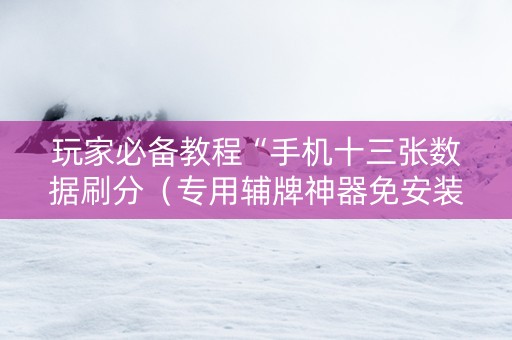 玩家必备教程“手机十三张数据刷分（专用辅牌神器免安装）