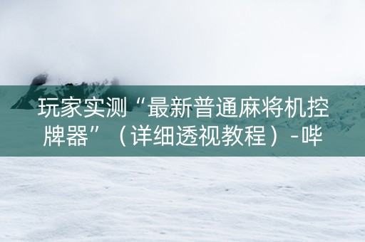 玩家实测“最新普通麻将机控牌器”（详细透视教程）-哔哩哔哩