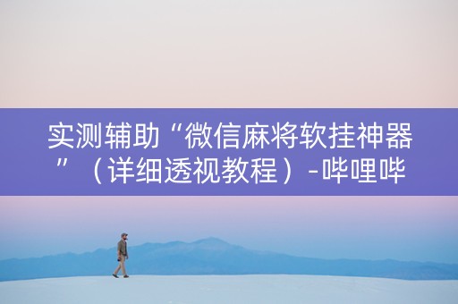 实测辅助“微信麻将软挂神器”（详细透视教程）-哔哩哔哩