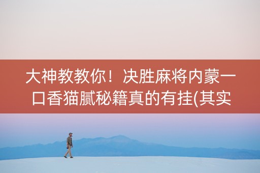 大神教教你！决胜麻将内蒙一口香猫腻秘籍真的有挂(其实真的有挂)