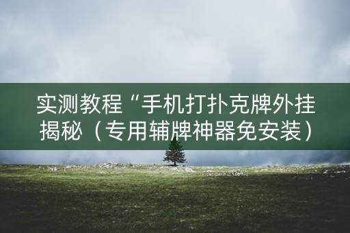 实测教程“手机打扑克牌外挂揭秘（专用辅牌神器免安装）