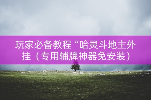 玩家必备教程“哈灵斗地主外挂（专用辅牌神器免安装）