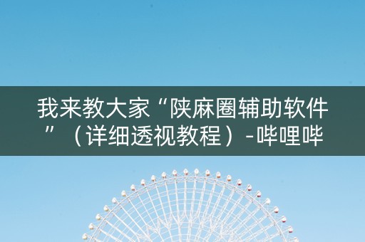 我来教大家“陕麻圈辅助软件”（详细透视教程）-哔哩哔哩