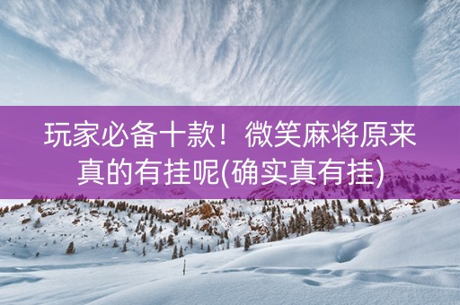 玩家必备十款！微笑麻将原来真的有挂呢(确实真有挂)