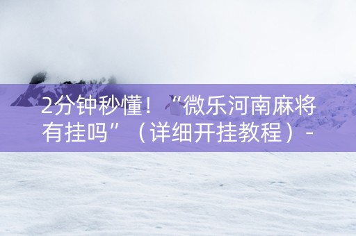 2分钟秒懂！“微乐河南麻将有挂吗”（详细开挂教程）-哔哩哔哩