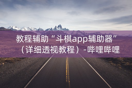 教程辅助“斗棋app辅助器”（详细透视教程）-哔哩哔哩