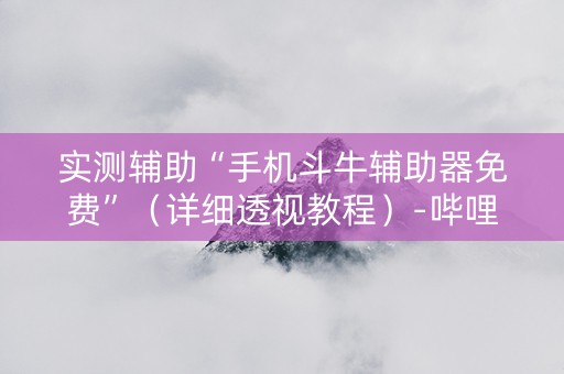 实测辅助“手机斗牛辅助器免费”（详细透视教程）-哔哩哔哩