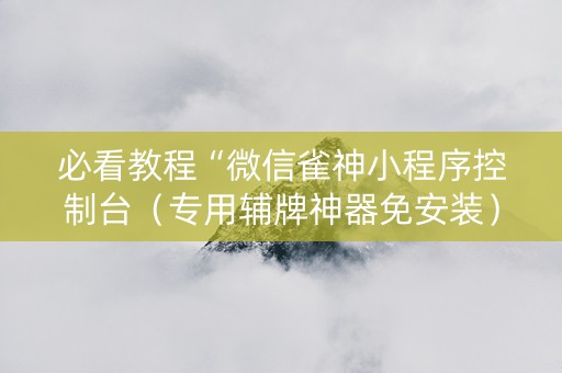必看教程“微信雀神小程序控制台（专用辅牌神器免安装）