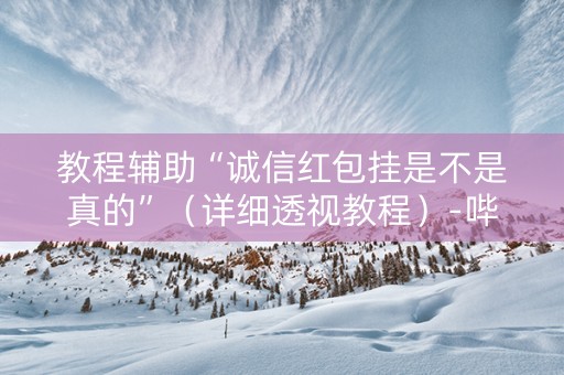 教程辅助“诚信红包挂是不是真的”（详细透视教程）-哔哩哔哩